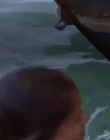 Filename=Mako_Mermaids_S02E09_mp42210.jpg
Filesize=195KiB
Dimensions=1280x720
Date added=Aug 17, 2021 Mako_Mermaids_S02E09_mp42210.jpg