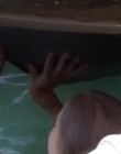 Filename=Mako_Mermaids_S02E09_mp42213.jpg
Filesize=217KiB
Dimensions=1280x720
Date added=Aug 17, 2021 Mako_Mermaids_S02E09_mp42213.jpg