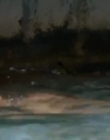 Filename=Mako_Mermaids_S02E09_mp42324.jpg
Filesize=221KiB
Dimensions=1280x720
Date added=Aug 17, 2021 Mako_Mermaids_S02E09_mp42324.jpg