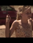 Transmission_mp41554.jpg