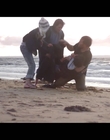 Filename=Coping_mp40375.jpg
Filesize=319KiB
Dimensions=1280x720
Date added=Aug 15, 2021 Coping_mp40375.jpg