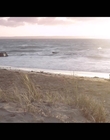 Filename=Coping_mp40393.jpg
Filesize=357KiB
Dimensions=1280x720
Date added=Aug 15, 2021 Coping_mp40393.jpg