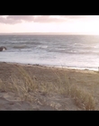 Filename=Coping_mp40395.jpg
Filesize=369KiB
Dimensions=1280x720
Date added=Aug 15, 2021 Coping_mp40395.jpg
