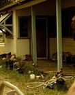 Filename=These_Final_Hours_mp40740.jpg
Filesize=856KiB
Dimensions=1920x800
Date added=Aug 17, 2021 These_Final_Hours_mp40740.jpg