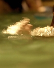 Filename=These_Final_Hours_mp42430.jpg
Filesize=687KiB
Dimensions=1920x800
Date added=Aug 17, 2021 These_Final_Hours_mp42430.jpg