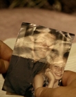 Filename=These_Final_Hours_mp43950.jpg
Filesize=684KiB
Dimensions=1920x800
Date added=Aug 17, 2021 These_Final_Hours_mp43950.jpg