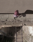 Filename=The_Doctor_Blake_Mysteries_S02E07_mkv2566.jpg
Filesize=535KiB
Dimensions=1280x720
Date added=Aug 17, 2021 The_Doctor_Blake_Mysteries_S02E07_mkv2566.jpg
