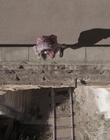 Filename=The_Doctor_Blake_Mysteries_S02E07_mkv2571.jpg
Filesize=538KiB
Dimensions=1280x720
Date added=Aug 17, 2021 The_Doctor_Blake_Mysteries_S02E07_mkv2571.jpg