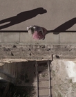 Filename=The_Doctor_Blake_Mysteries_S02E07_mkv2596.jpg
Filesize=517KiB
Dimensions=1280x720
Date added=Aug 17, 2021 The_Doctor_Blake_Mysteries_S02E07_mkv2596.jpg