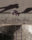 Filename=The_Doctor_Blake_Mysteries_S02E07_mkv2605.jpg
Filesize=540KiB
Dimensions=1280x720
Date added=Aug 17, 2021 The_Doctor_Blake_Mysteries_S02E07_mkv2605.jpg