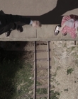 Filename=The_Doctor_Blake_Mysteries_S02E07_mkv2628.jpg
Filesize=493KiB
Dimensions=1280x720
Date added=Aug 17, 2021 The_Doctor_Blake_Mysteries_S02E07_mkv2628.jpg