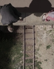 Filename=The_Doctor_Blake_Mysteries_S02E07_mkv2650.jpg
Filesize=508KiB
Dimensions=1280x720
Date added=Aug 17, 2021 The_Doctor_Blake_Mysteries_S02E07_mkv2650.jpg