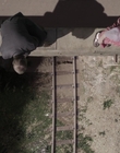 Filename=The_Doctor_Blake_Mysteries_S02E07_mkv2651.jpg
Filesize=512KiB
Dimensions=1280x720
Date added=Aug 17, 2021 The_Doctor_Blake_Mysteries_S02E07_mkv2651.jpg