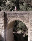 Filename=The_Doctor_Blake_Mysteries_S02E07_mkv2654.jpg
Filesize=748KiB
Dimensions=1280x720
Date added=Aug 17, 2021 The_Doctor_Blake_Mysteries_S02E07_mkv2654.jpg