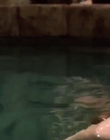 Filename=Mako_Mermaids_S02E09_mp41807.jpg
Filesize=246KiB
Dimensions=1280x720
Date added=Aug 17, 2021 Mako_Mermaids_S02E09_mp41807.jpg