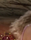 Filename=Mako_Mermaids_S02E09_mp41924.jpg
Filesize=270KiB
Dimensions=1280x720
Date added=Aug 17, 2021 Mako_Mermaids_S02E09_mp41924.jpg