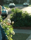 Filename=The_Nice_Guys_mp43807.jpg
Filesize=852KiB
Dimensions=1920x800
Date added=Aug 17, 2021 The_Nice_Guys_mp43807.jpg
