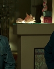Filename=The_Nice_Guys_mp45608.jpg
Filesize=717KiB
Dimensions=1920x800
Date added=Aug 17, 2021 The_Nice_Guys_mp45608.jpg
