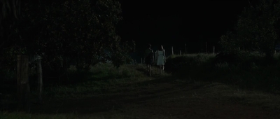 Jasper_Jones_mp44777.jpg