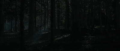 Jasper_Jones_mp44793.jpg