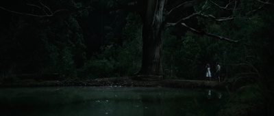 Jasper_Jones_mp44805.jpg