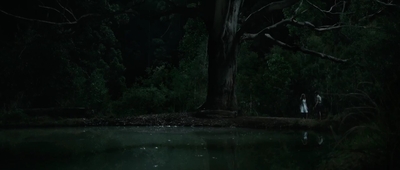 Jasper_Jones_mp44806.jpg