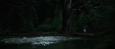 Jasper_Jones_mp45079.jpg