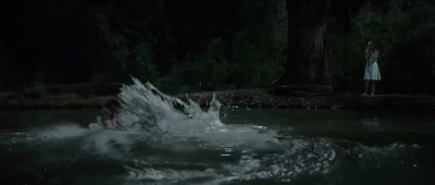 Jasper_Jones_mp45112.jpg