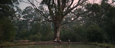 Jasper_Jones_mp45154.jpg