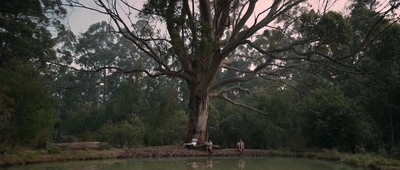 Jasper_Jones_mp45163.jpg
