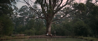 Jasper_Jones_mp45168.jpg