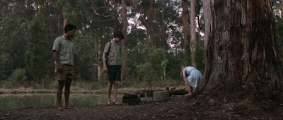 Jasper_Jones_mp45192.jpg