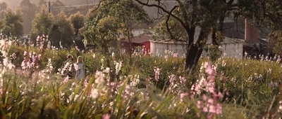Jasper_Jones_mp45200.jpg
