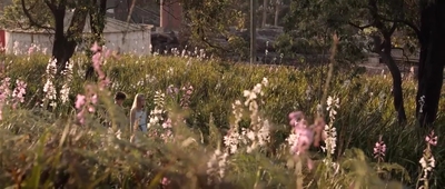 Jasper_Jones_mp45211.jpg