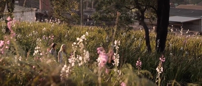 Jasper_Jones_mp45213.jpg