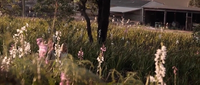 Jasper_Jones_mp45216.jpg