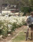 Filename=Jasper_Jones_mp41247.jpg
Filesize=522KiB
Dimensions=1280x544
Date added=Aug 17, 2021 Jasper_Jones_mp41247.jpg