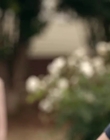 Filename=Jasper_Jones_mp42391.jpg
Filesize=251KiB
Dimensions=1280x544
Date added=Aug 17, 2021 Jasper_Jones_mp42391.jpg