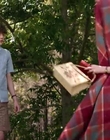 Filename=Jasper_Jones_mp43698.jpg
Filesize=504KiB
Dimensions=1280x544
Date added=Aug 17, 2021 Jasper_Jones_mp43698.jpg