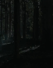 Filename=Jasper_Jones_mp44793.jpg
Filesize=157KiB
Dimensions=1280x544
Date added=Aug 17, 2021 Jasper_Jones_mp44793.jpg