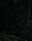 Filename=Jasper_Jones_mp44795.jpg
Filesize=161KiB
Dimensions=1280x544
Date added=Aug 17, 2021 Jasper_Jones_mp44795.jpg