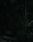 Filename=Jasper_Jones_mp44796.jpg
Filesize=162KiB
Dimensions=1280x544
Date added=Aug 17, 2021 Jasper_Jones_mp44796.jpg