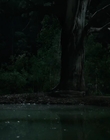 Filename=Jasper_Jones_mp44802.jpg
Filesize=249KiB
Dimensions=1280x544
Date added=Aug 17, 2021 Jasper_Jones_mp44802.jpg