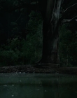 Filename=Jasper_Jones_mp44803.jpg
Filesize=250KiB
Dimensions=1280x544
Date added=Aug 17, 2021 Jasper_Jones_mp44803.jpg