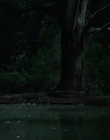 Filename=Jasper_Jones_mp44806.jpg
Filesize=244KiB
Dimensions=1280x544
Date added=Aug 17, 2021 Jasper_Jones_mp44806.jpg