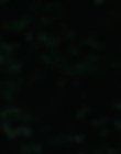 Filename=Jasper_Jones_mp44825.jpg
Filesize=154KiB
Dimensions=1280x544
Date added=Aug 17, 2021 Jasper_Jones_mp44825.jpg