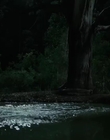 Filename=Jasper_Jones_mp45079.jpg
Filesize=234KiB
Dimensions=1280x544
Date added=Aug 17, 2021 Jasper_Jones_mp45079.jpg