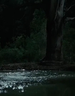 Filename=Jasper_Jones_mp45080.jpg
Filesize=241KiB
Dimensions=1280x544
Date added=Aug 17, 2021 Jasper_Jones_mp45080.jpg