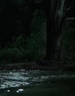 Filename=Jasper_Jones_mp45081.jpg
Filesize=243KiB
Dimensions=1280x544
Date added=Aug 17, 2021 Jasper_Jones_mp45081.jpg