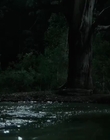 Filename=Jasper_Jones_mp45082.jpg
Filesize=242KiB
Dimensions=1280x544
Date added=Aug 17, 2021 Jasper_Jones_mp45082.jpg